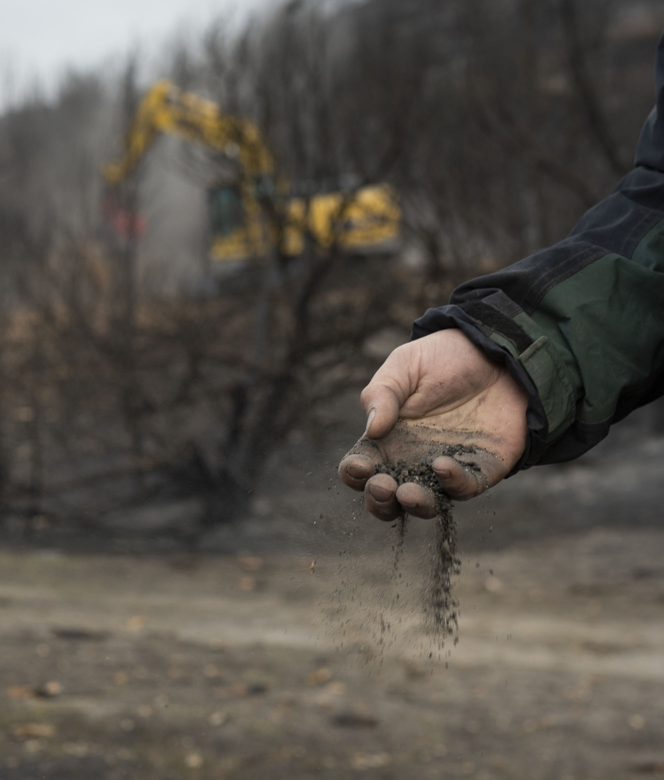 Restoration continues after South Hills Badger Fire